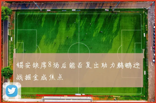锡安缺席8场后能否复出助力鹈鹕迎战掘金成焦点